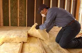 Best Blown-In Insulation  in Rose Valley, PA