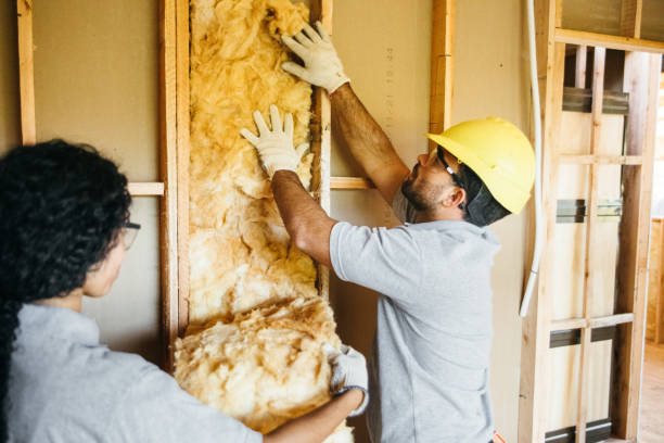 Best Insulation for New Construction  in Rose Valley, PA